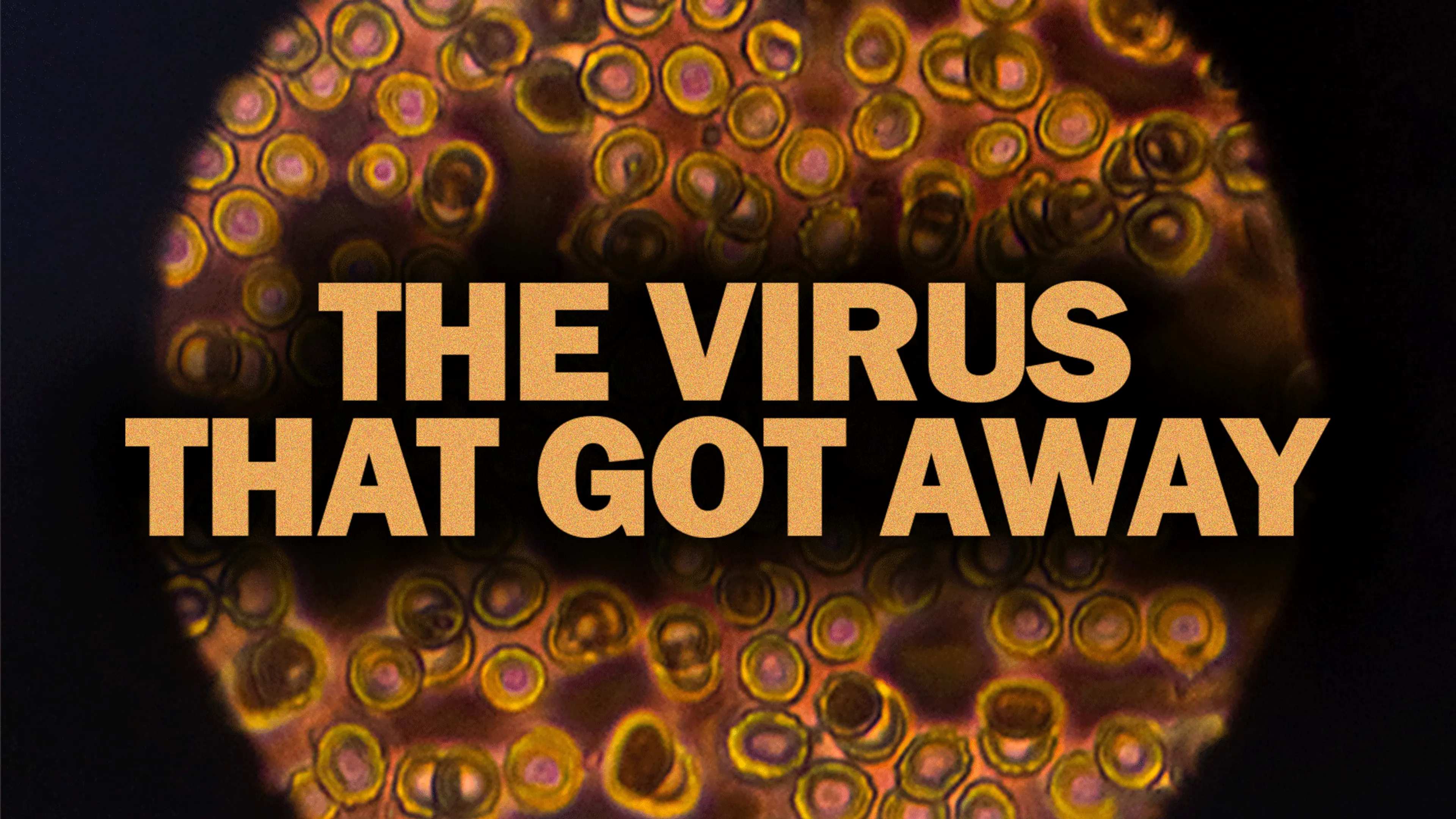 The Virus that got Away poster
